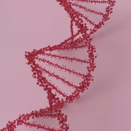 DNA Oestrogen test - pink dna strand