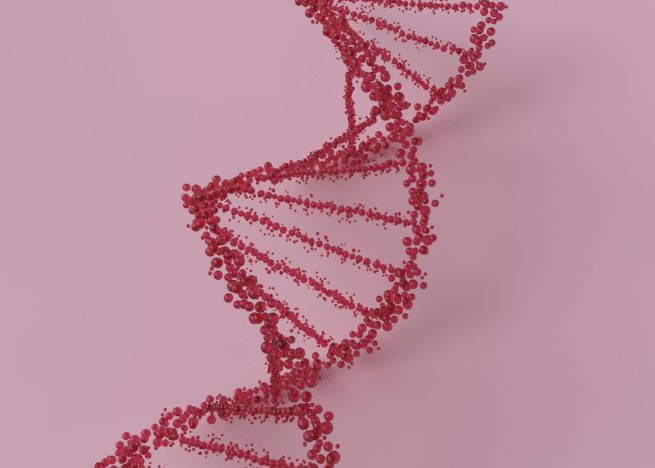 DNA Oestrogen test - pink dna strand