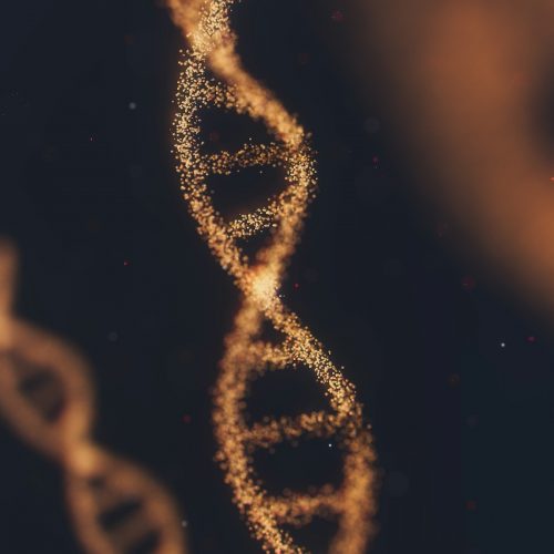 DNA Health