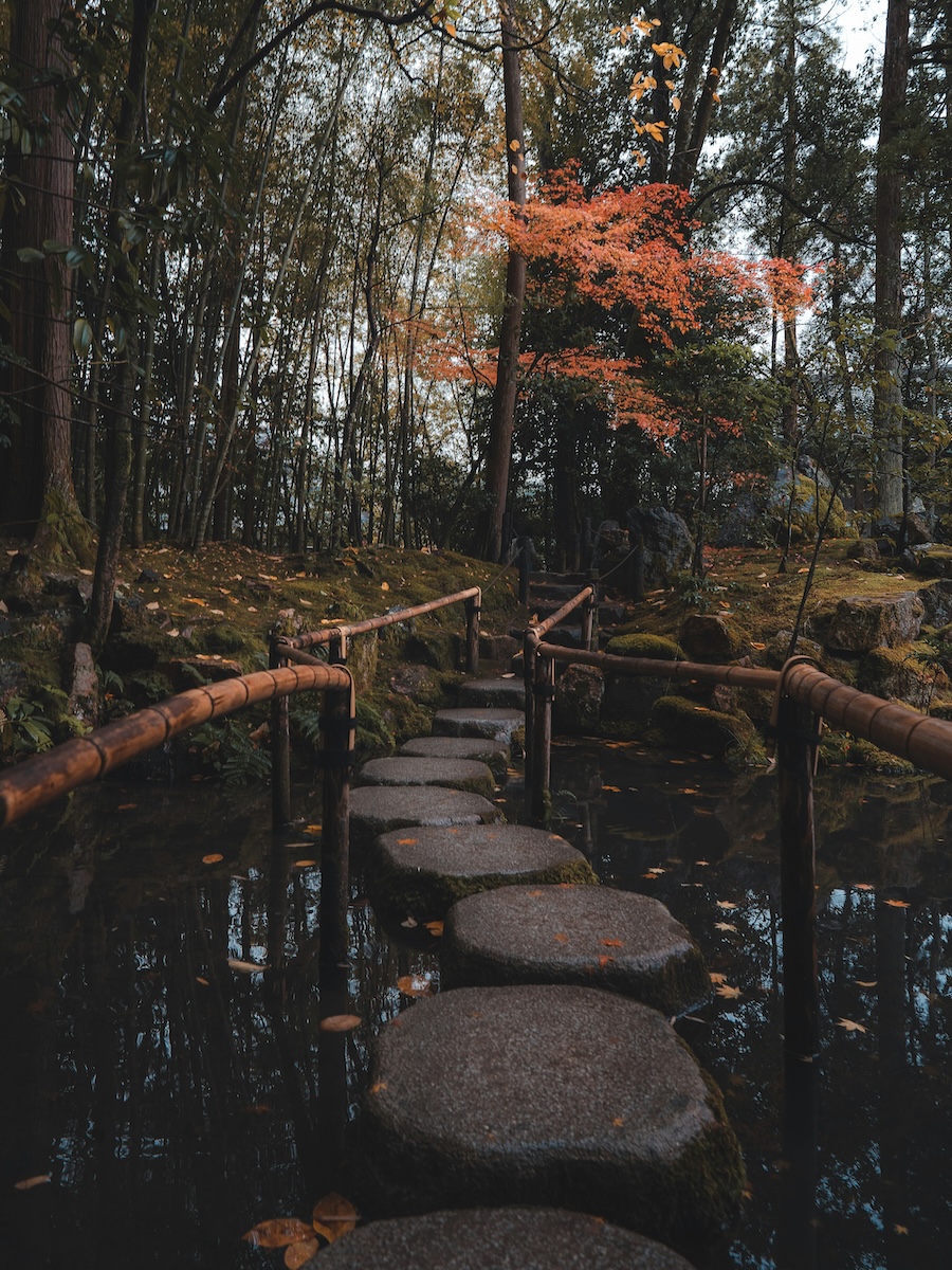 Nutritional Coaching pathway - stepping stones through autumn woods